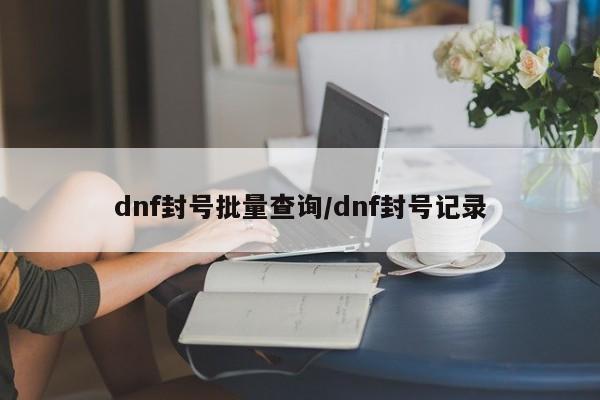 dnf封号批量查询/dnf封号记录